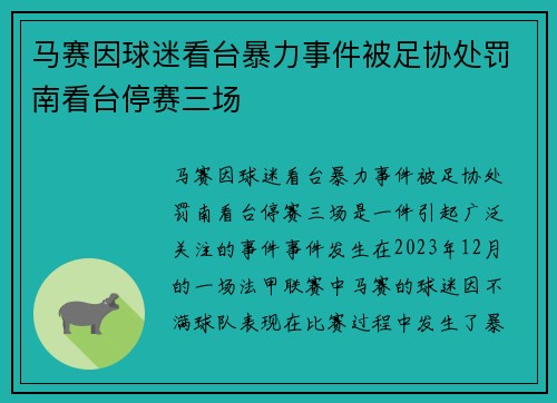 马赛因球迷看台暴力事件被足协处罚南看台停赛三场 马赛因球迷看台暴力事件被足协处罚南看台停赛三场